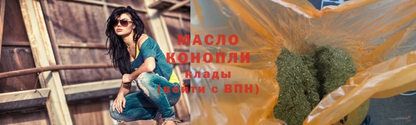 гашик Богородицк