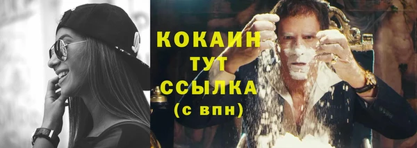 индика Богородск