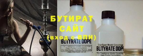 индика Богородск
