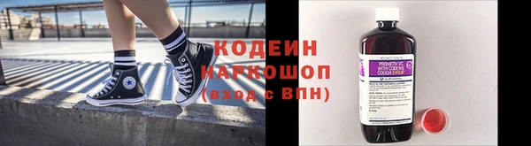 индика Богородск