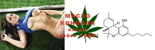 индика Богородск
