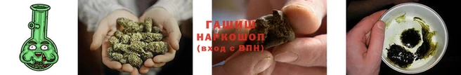 индика Богородск
