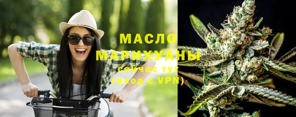 индика Богородск