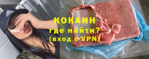 индика Богородск