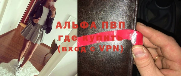индика Богородск
