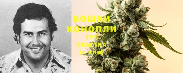 гашик Богородицк