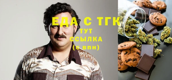 индика Богородск