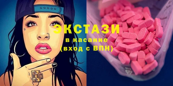 индика Богородск