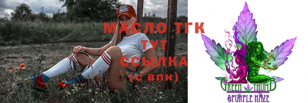 гашик Богородицк