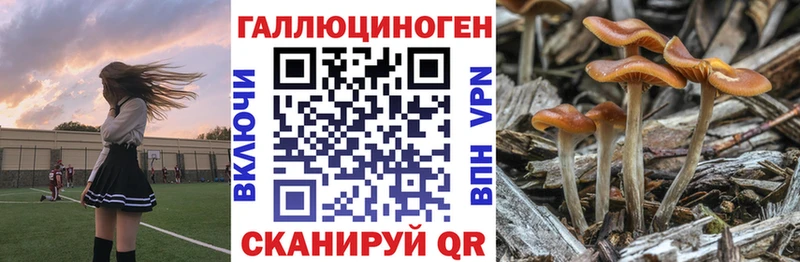Галлюциногенные грибы Cubensis  Севск 